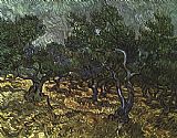 The Olive Grove by Vincent van Gogh